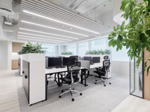 Modern office space with desks, chairs, and plants, featuring bright lighting and minimalist design.