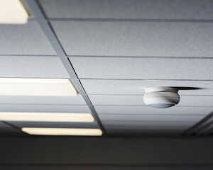 Ceiling tiles with fluorescent lights and a smoke detector.