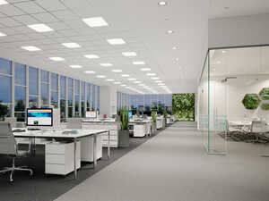 Modern office interior with desks, plants, and large windows.